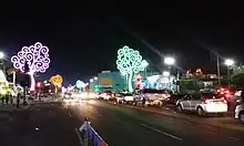 Image 3Trees of Life at night on Avenida Bolívar, Managua, 2016