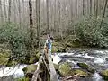 Bridge Crossing Jake's Creek below