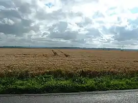 Site of the battle of Agincourt