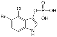 Skeletal formula of BCIP