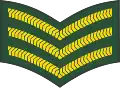 Sergeant(Barbados Regiment)