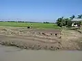 A farmer busy on the banks of the Kangsha River