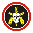 Patch & Beret Badge