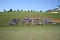 Parents and kids huddle together after Field Day to form the letters: BRCA