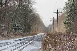 Road through Gallitzin State Forest in Ogle Township