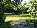 The main swimming hole at the Boulders Scenic Reserve, Babinda, Queensland