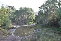 A ford across the river west of Bacchus Marsh