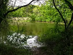 Cemetery pond