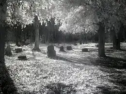 Bachelor's Grove in infrared (IR)