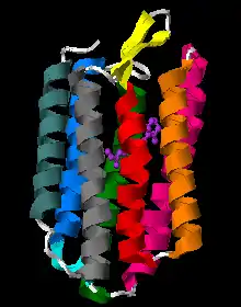 Bacteriorhodopsin single monomer with retinal molecule between 7 vertical alpha helixes (PDB ID: 1X0S ). One more small helix is light blue, beta sheet yellow.