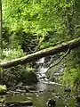 Cascades at the western end of the Upper Pool.