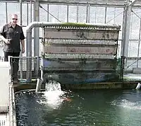 Bakki Shower at the koi farm