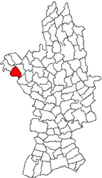 Location in Olt County