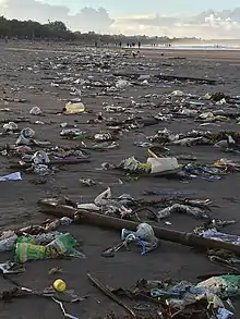 Scattered and degrading plastic covers the sand of a beautiful beach.