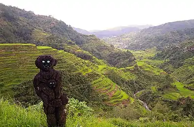 A hogang, fern-trunk statue, of a god protecting boundaries in Ifugao