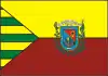 Flag of São Raimundo Nonato