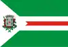 Flag of Santa Cruz das Palmeiras