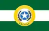 Flag of Cacoal