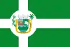 Flag of Paulo Ramos, Maranhão