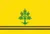 Flag of Sant Guim de Freixenet