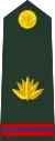 Master Warrant Officer