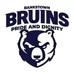 Bankstown Bruins logo