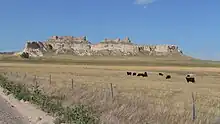 Cliffs and pinnacles in distance; grassland with cattle in foreground