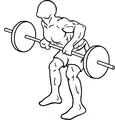 Barbell rear delt row end