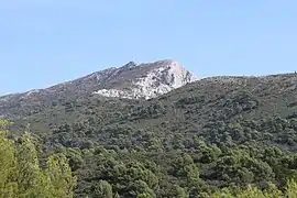 Montagne Sainte-Victoire