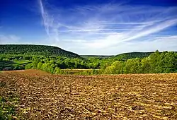 A farm in Barry Township