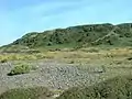 Steps to Barsalloch Fort Iron-Age Settlement