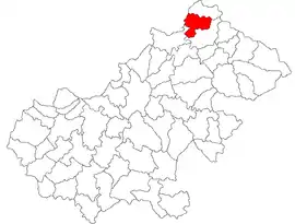 Location in Satu Mare County