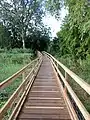 Reedfen Boardwalk at Batford Springs