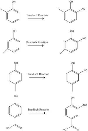 Baudisch Reaction with substituents.png144