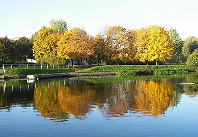 River bank in autumn