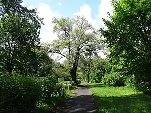 View of an alley