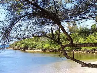 Beach at Palmas Altas