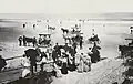 Carriages on the beach in Seabreeze, FL, 1906