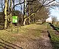 Beaconhill Beeches, part of the SSSI and NNR.