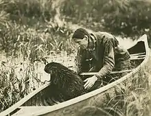  Grey Owl in a canoe.