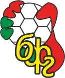 Shirt badge/Association crest