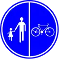 D9b: Part of the road reserved for pedestrians, cyclists and mopeds class A (mofas)