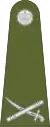 Brigadier