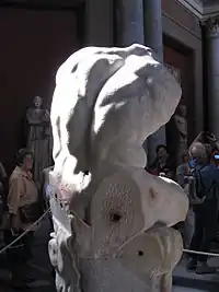 Belvedere Torso, rear view, sunlit