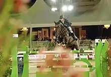 Ben Maher on Tripple X, pictured in June 2012, was part of the British team that won the team jumping