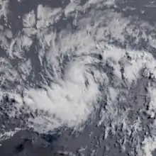 Visible satellite imagery of a small but well-defined hurricane on July 6.