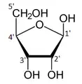 β-d-Ribofuranose