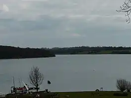 A lake surrounded by trees