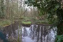 Bierton Clay Pit