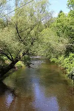 Big Wapwallopen Creek in Hollenback Township (June 2015)